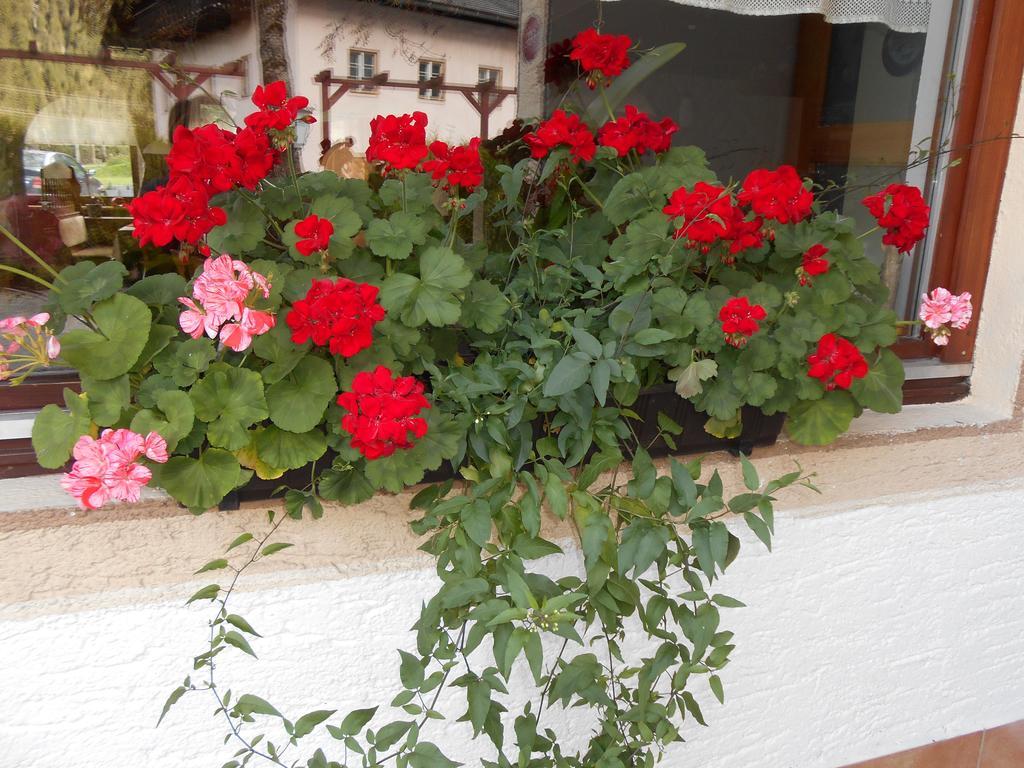Gasthaus Traube Bichlbach Ngoại thất bức ảnh